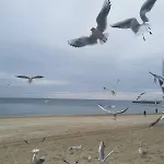 Rodzinne Przy Plazy Lejlighed Kołobrzeg