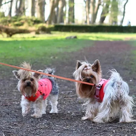 Apartament Rodzinne Przy Plaży Kołobrzeg