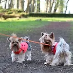 Lägenhet Rodzinne Przy Plazy Kołobrzeg