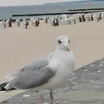 Rodzinne Przy Plazy Kołobrzeg