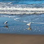 Rodzinne Przy Plazy * Kołobrzeg