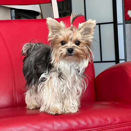 Rodzinne Przy Plazy Apartmán